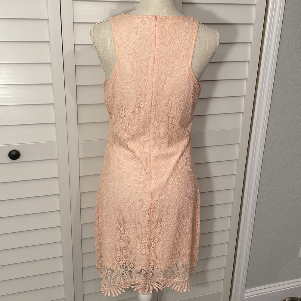 Pinky lace dress NWOT - Picture 3 of 8